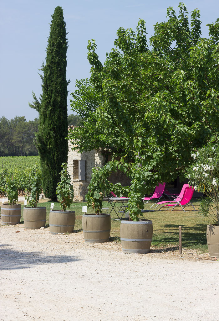 Visiting Wine Vineyards in Southern France made me fall in love (all over again) with the art of wine making...