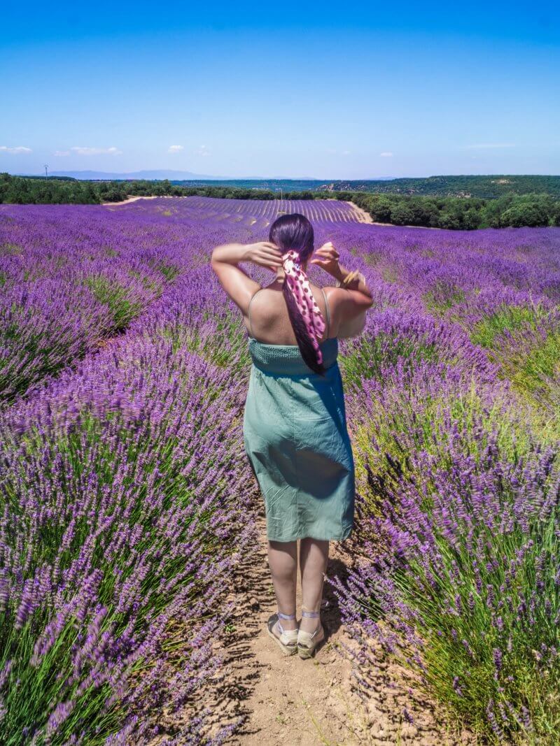My Top 5 places to visit near Madrid - Brihuega Spain Lavender Fields