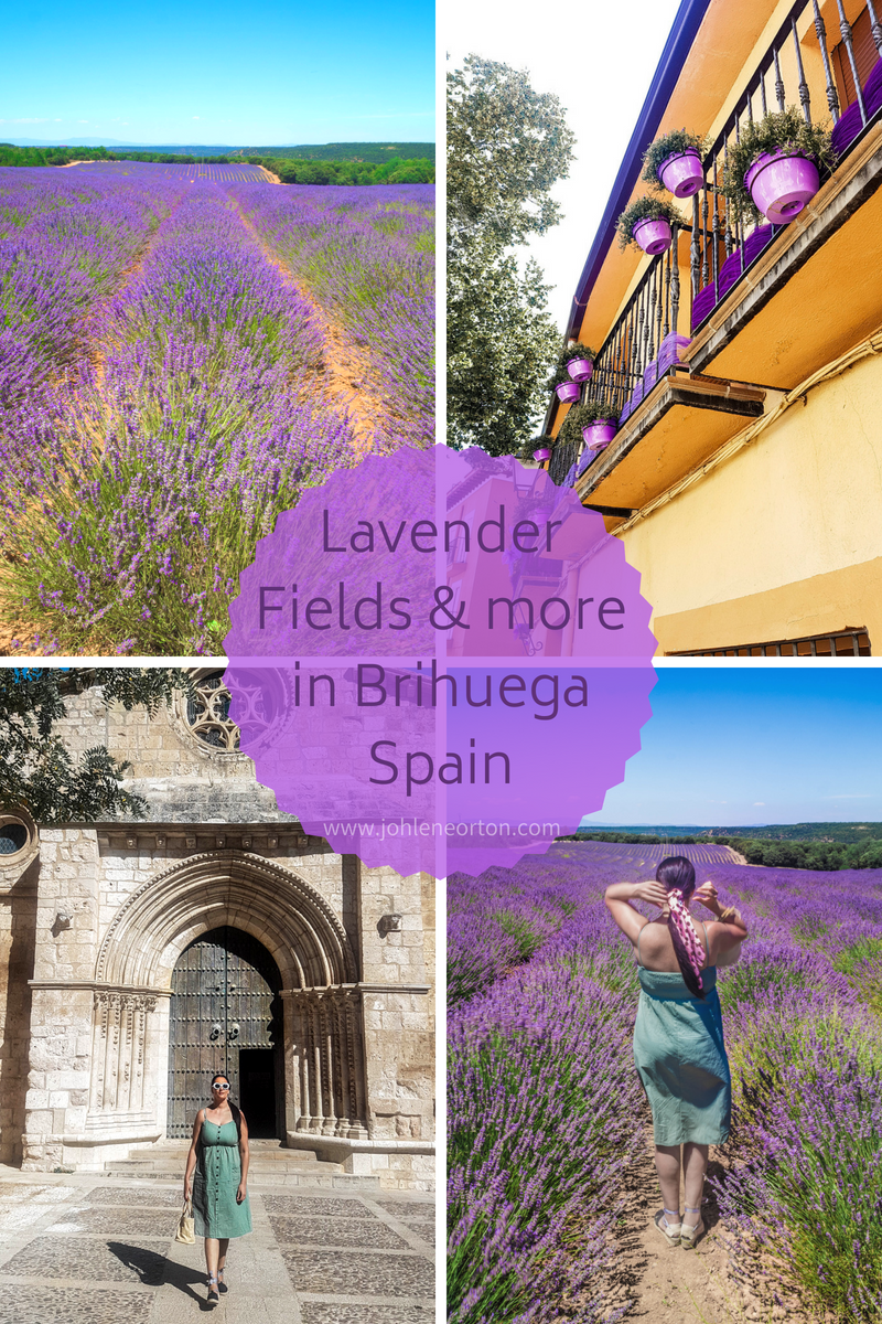 Brihuega Guadalajara | Lavender Fields in Spain