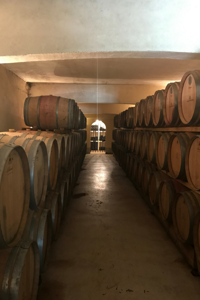 Visiting Wine Vineyards in Southern France made me fall in love (all over again) with the art of wine making... 