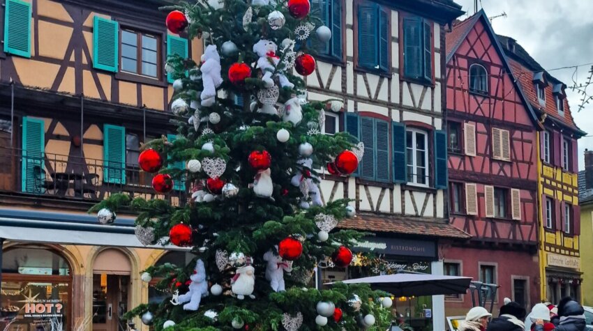 Beautiful Christmas tree in a town in Alsace France in Christmas