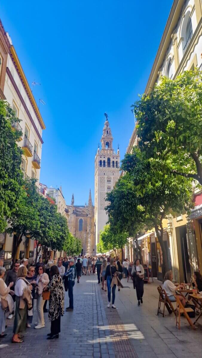 The Cathedral of Seville with La Giralda tower in the background