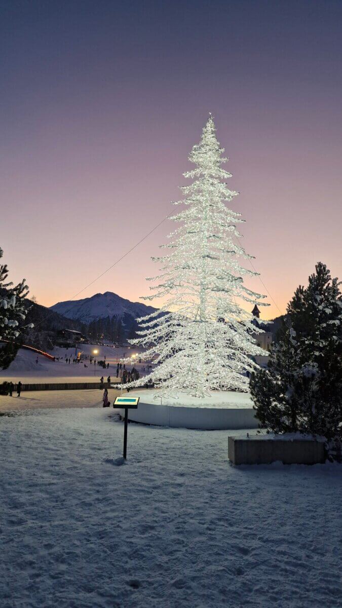 The image captures a serene winter evening moment featuring a large, brightly lit Christmas tree in a snowy landscape
