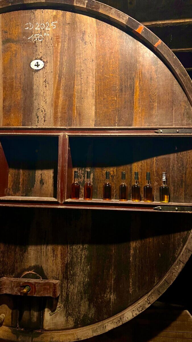 This image shows a traditional cider cellar, specifically featuring a large oak wooden barrel, or cask, used for aging cider.