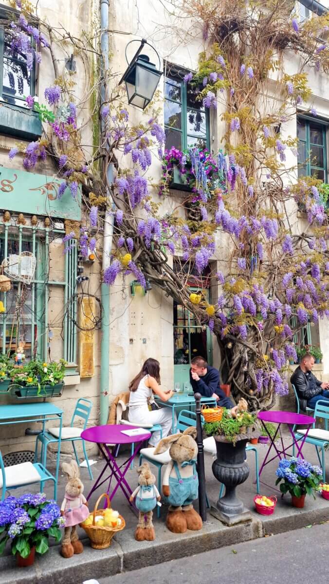 This image shows the Au Vieux Paris d'Arcole, a historic restaurant in Paris known for its vibrant purple wisteria
