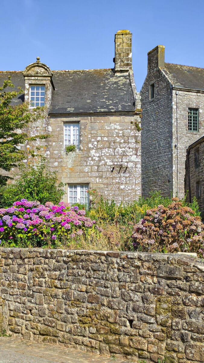 This charming scene features traditional granite stone houses adorned with vibrant blooming hydrangeas in the historic medieval village of Locronan in Brittany, France