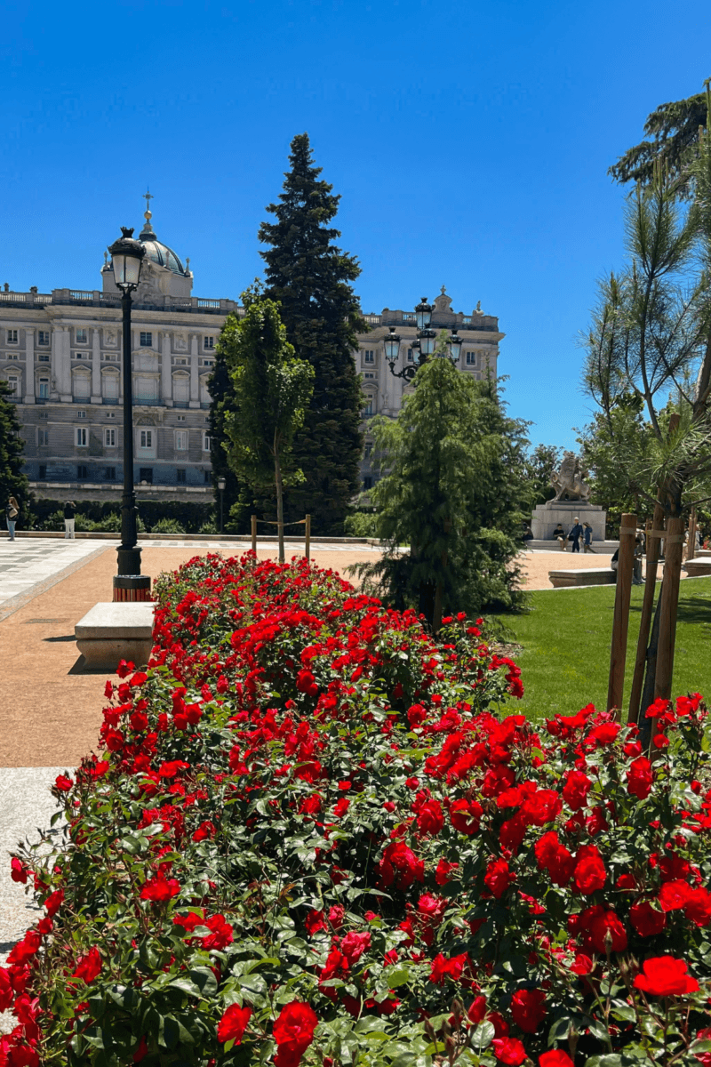 Everything You Need to Know Before Visiting The Royal Palace of Madrid