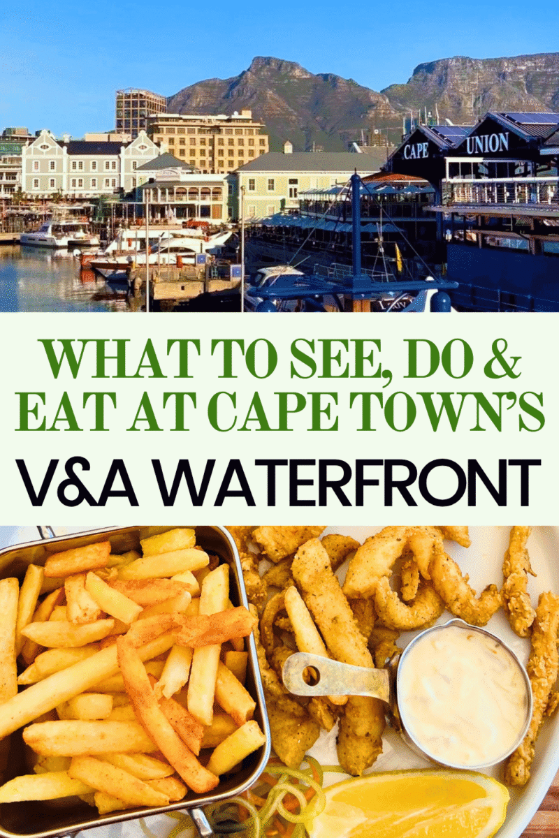 The Perfect Day at V&A Waterfront Cape Town: What to See, Do & Eat